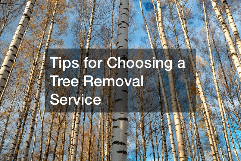 Tips for Choosing a Tree Removal Service