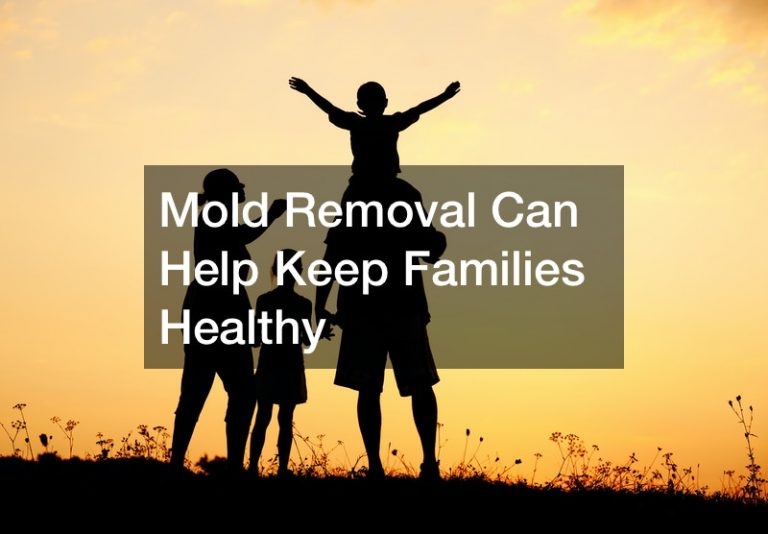 Mold Removal Can Help Keep Families Healthy