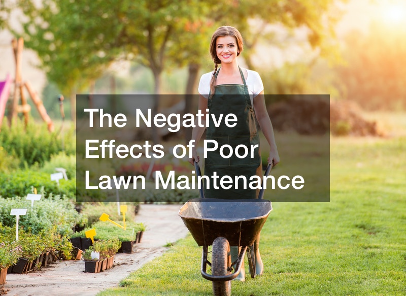 The Negative Effects of Poor Lawn Maintenance