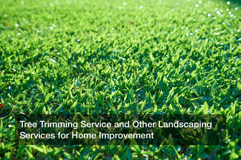 Tree Trimming Service and Other Landscaping Services for Home Improvement