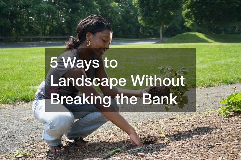 5 Ways to Landscape Without Breaking the Bank