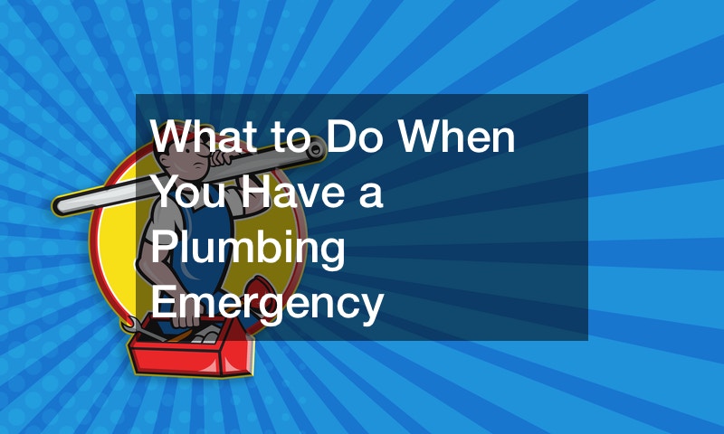 What to Do When You Have a Plumbing Emergency