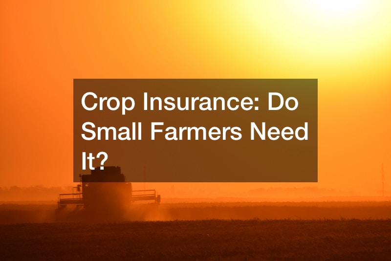 Crop Insurance: Do Small Farmers Need It?