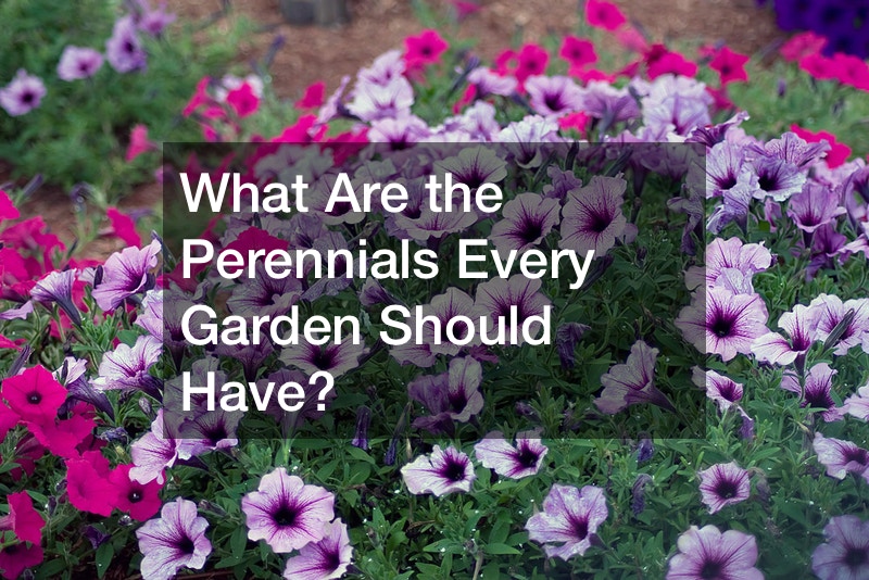 What Are the Perennials Every Garden Should Have?