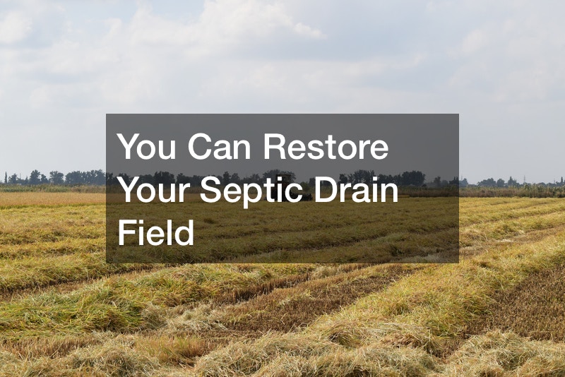 You Can Restore Your Septic Drain Field