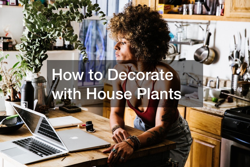 How to Decorate with House Plants