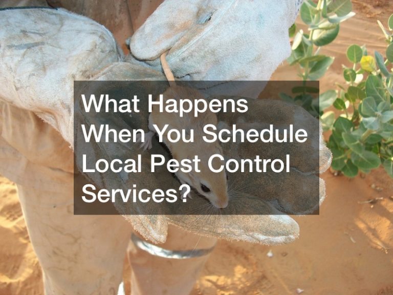 What Happens When You Schedule Local Pest Control Services?
