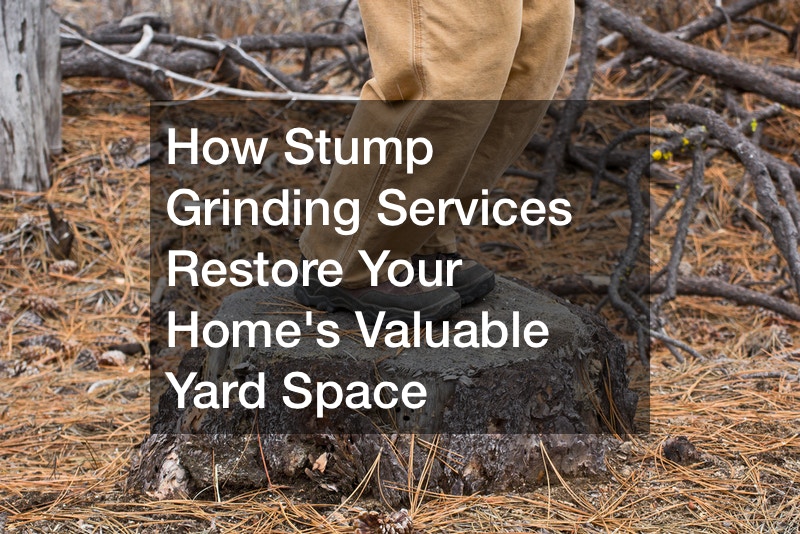 How Stump Grinding Services Restore Your Homes Valuable Yard Space