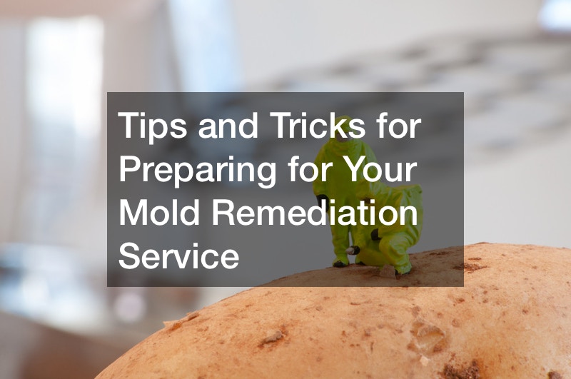 Tips and Tricks for Preparing for Your Mold Remediation Service