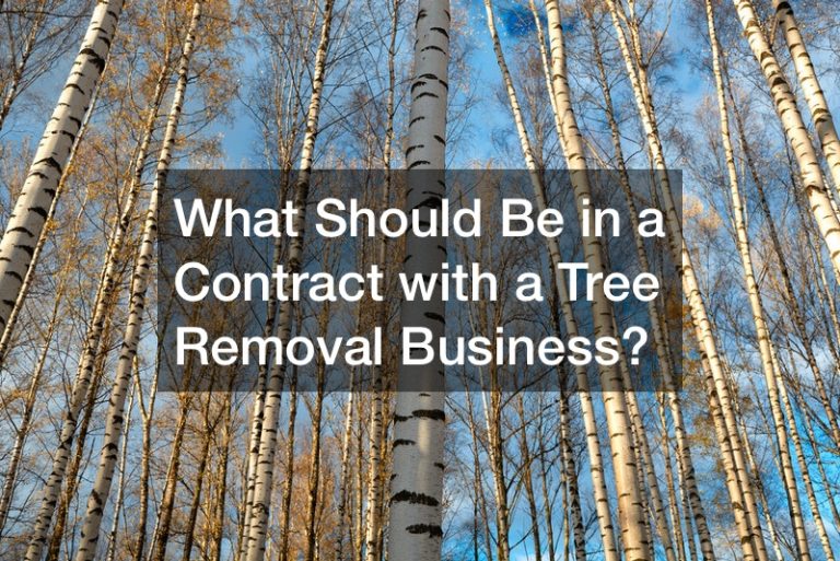 What Should Be in a Contract with a Tree Removal Business?