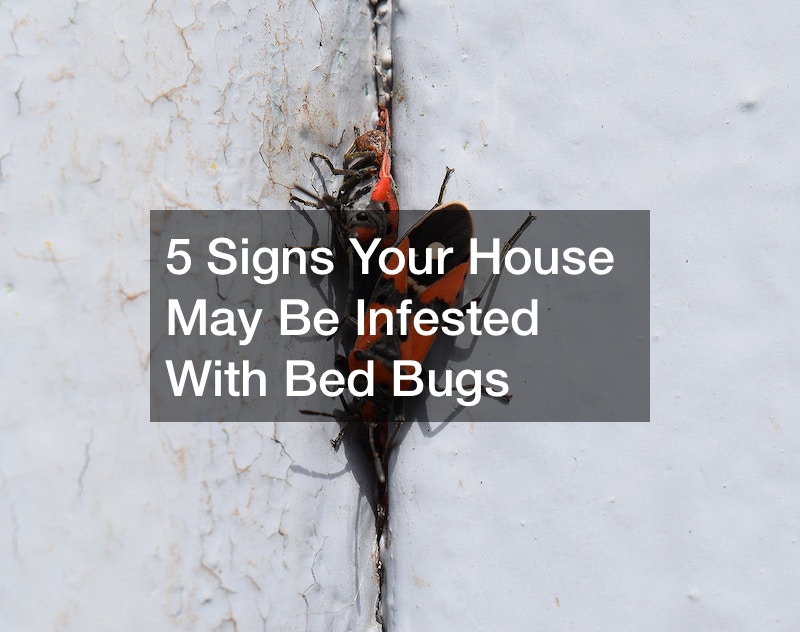 5 Signs Your House May Be Infested With Bed Bugs