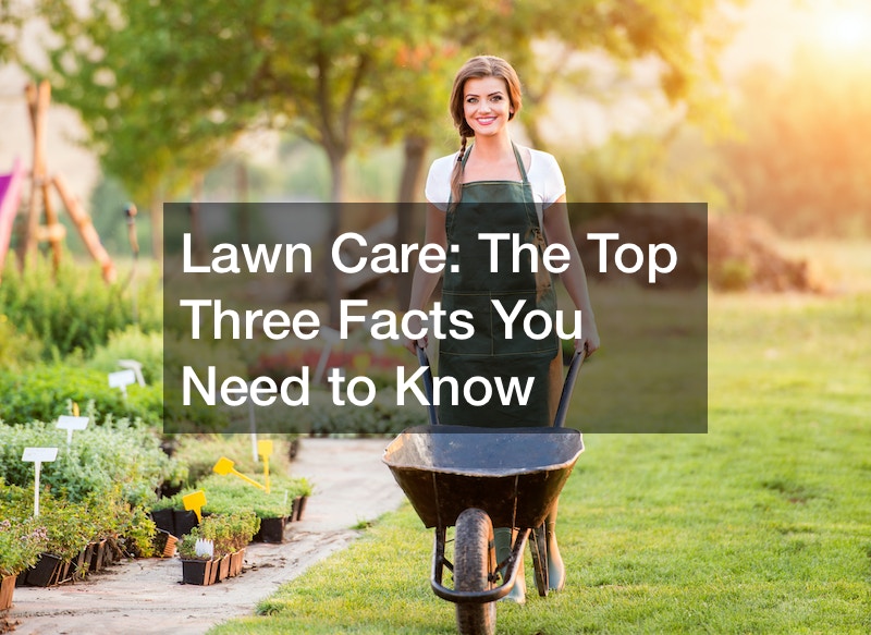 Lawn Care: The Top Three Facts You Need to Know