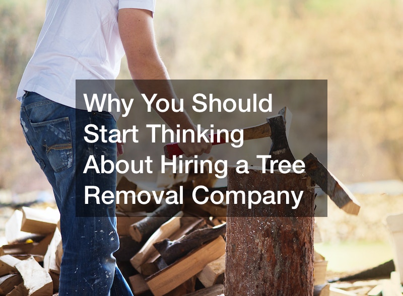 Why You Should Start Thinking About Hiring a Tree Removal Company