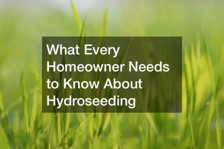 What Every Homeowner Needs to Know About Hydroseeding