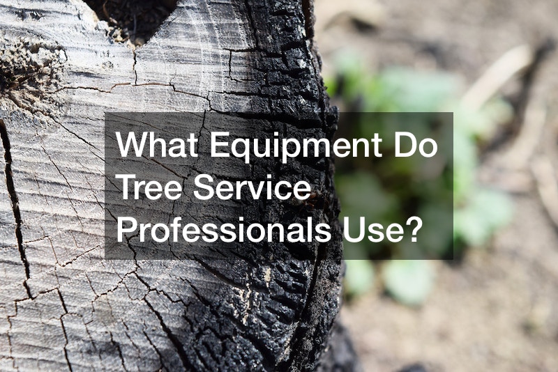 What Equipment Do Tree Service Professionals Use?