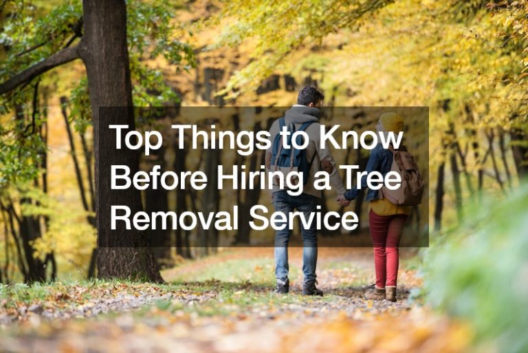Top Things to Know Before Hiring a Tree Removal Service