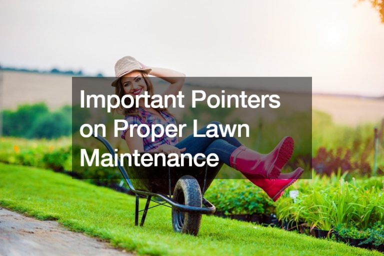 Important Pointers on Proper Lawn Maintenance