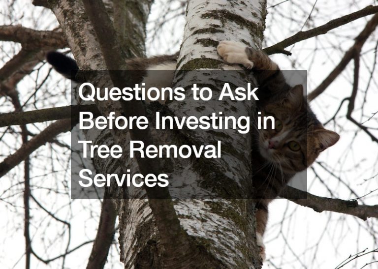 Questions to Ask Before Investing in Tree Removal Services