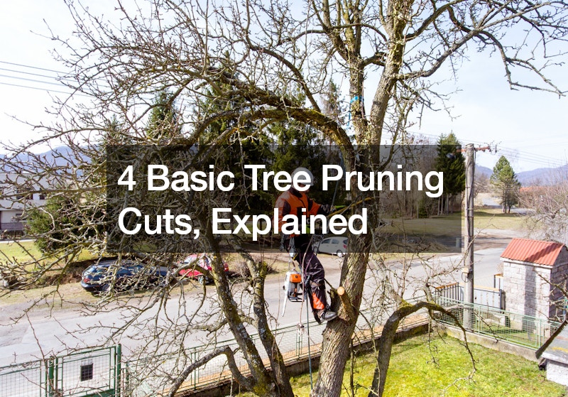 4 Basic Tree Pruning Cuts, Explained