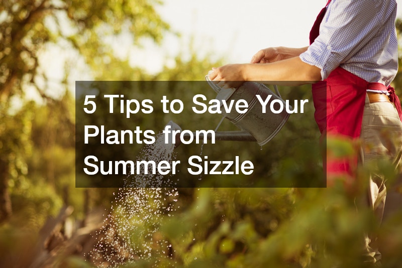 5 Tips to Save Your Plants from Summer Sizzle