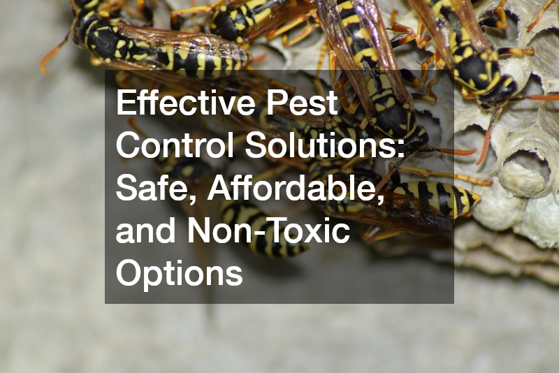 Effective Pest Control Solutions  Safe, Affordable, and Non-Toxic Options