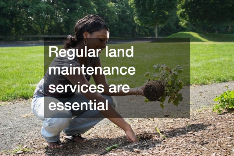 Save Money on Your Landscaping Services with These 8 Tips