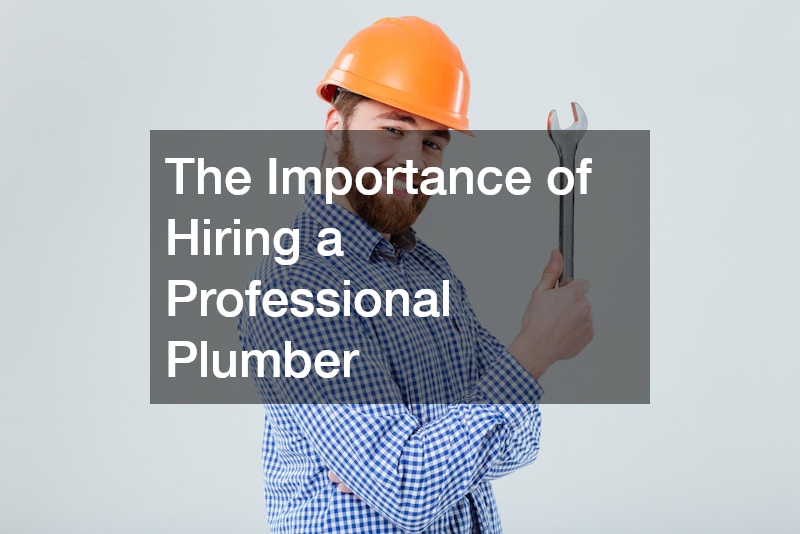 The Importance of Hiring a Professional Plumber